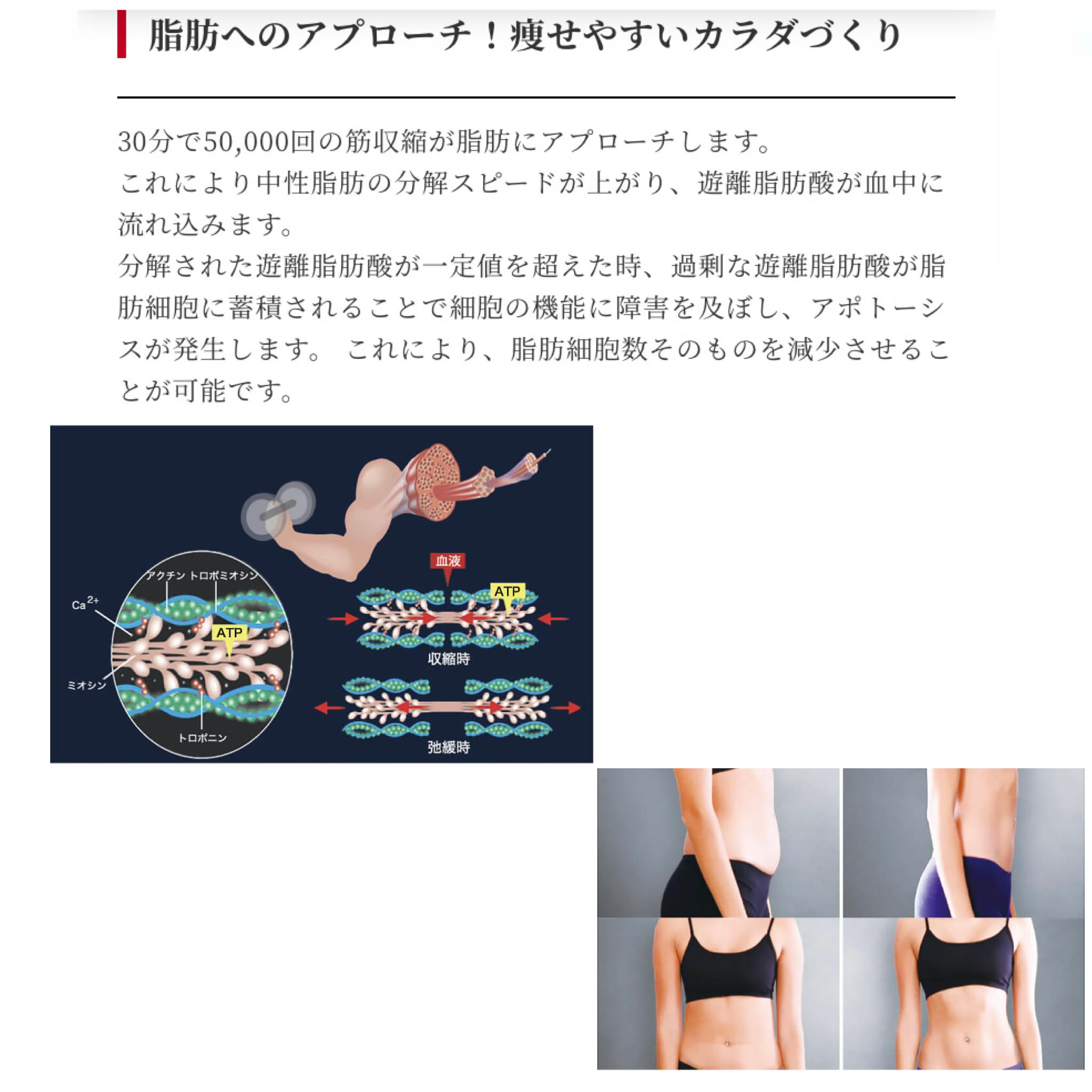 補助金申請】「LUMIX MAGFORCE®（ルミクス マグフォース） 10分に腹筋