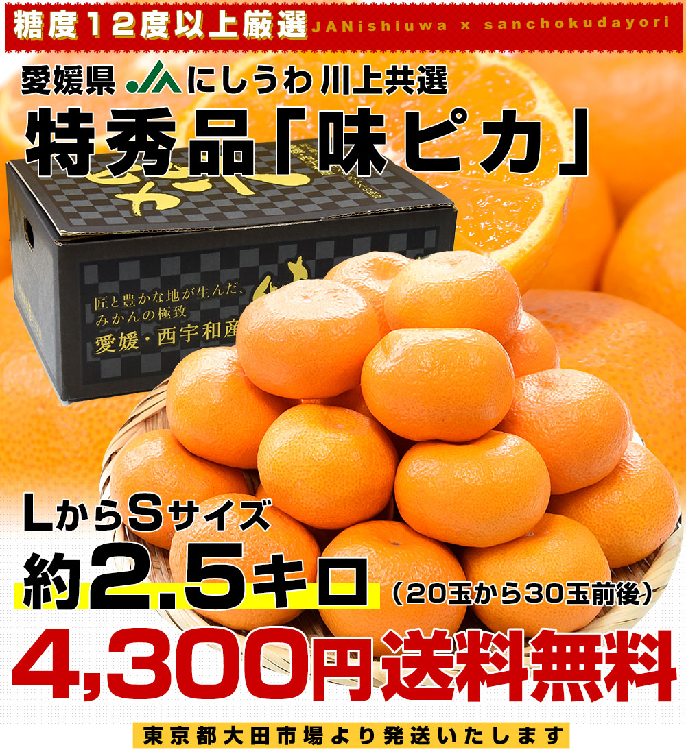 お歳暮 ギフト】愛媛県 JAにしうわ 川上共選 最高等級みかん「味ピカ