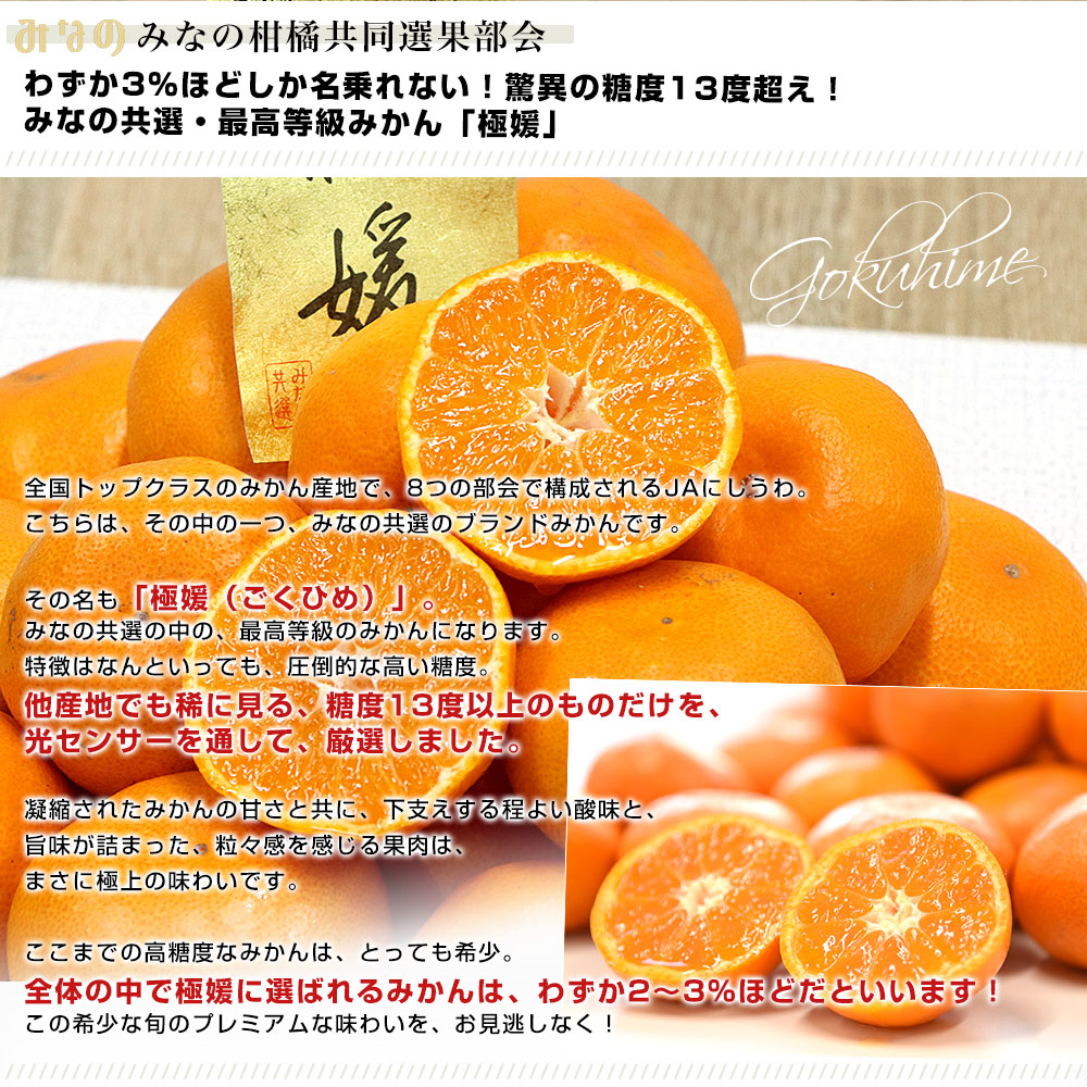 d_orange748_01.jpg