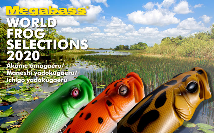 ご予約受付開始！】こだわりのフロッグカラーセット「WORLD FROG