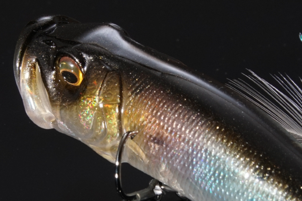 リスペクトカラー3rdステージ（第29弾）GP TANAGON（GP タナゴン