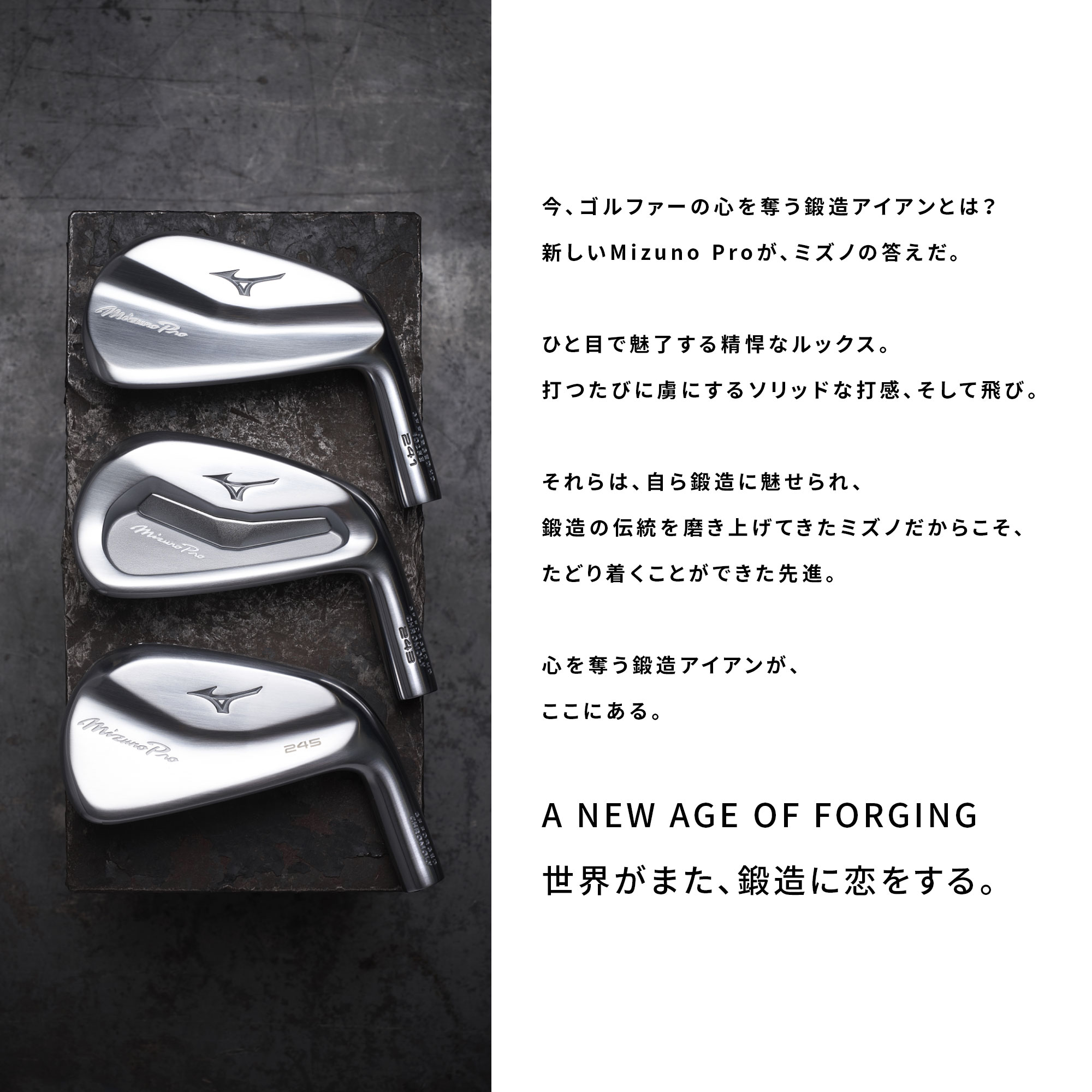 Mizuno Pro 245 アイアン 6本組／左用(No.5～9、PW)(Dynamic Gold 95
