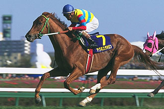 JRAホームページ｜データファイル｜競走成績データ