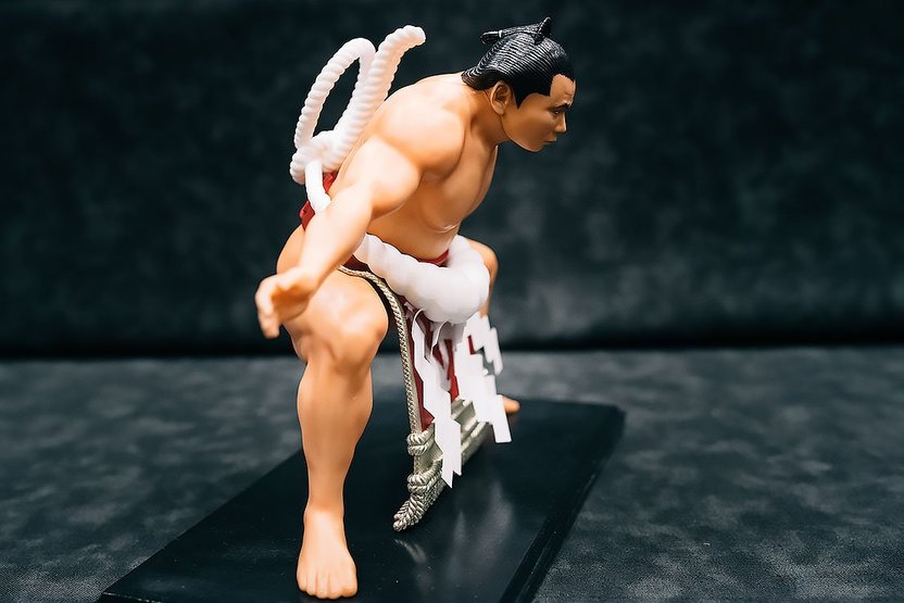 異色の「千代の富士」フィギュア土俵入り アポなしで女将さん訪問