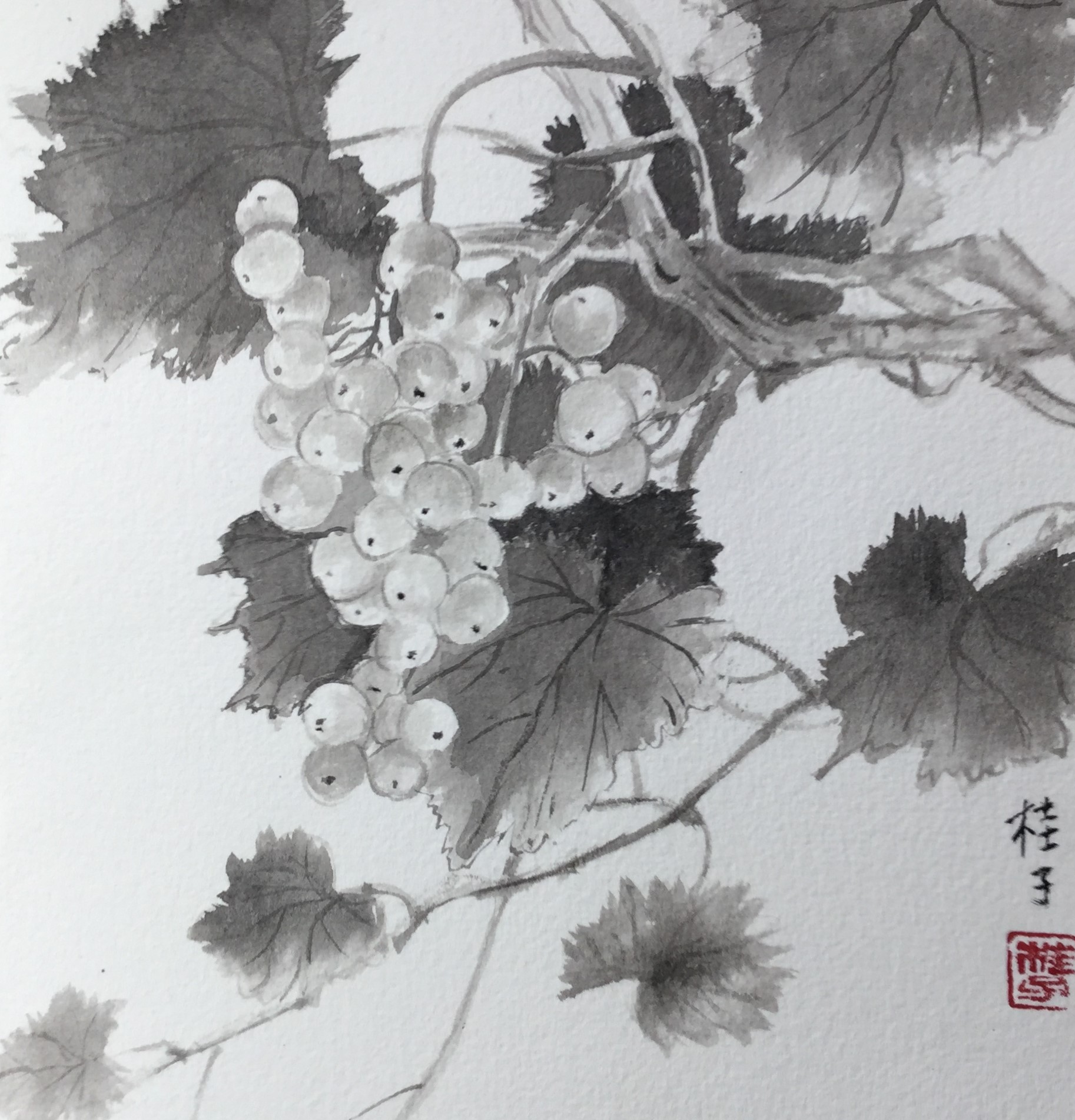 水墨画「葡萄」 | さわやか墨彩画教室