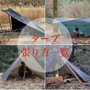 ビジョンピークス【ルータープFAMILY】良さと注意点！ | ミガルドア