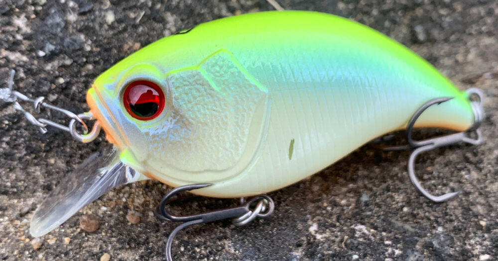 レイドジャパン】レベルクランク【インプレ】 | なんでもかんでも