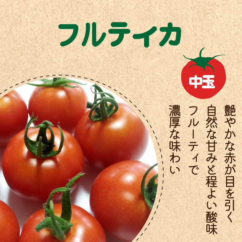 今井アレクサンドル トマト③ 今井アレクサンドル トマト③ 今井