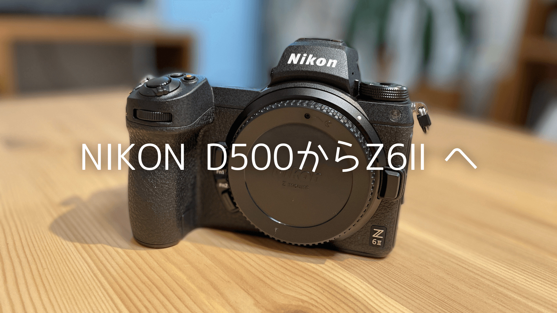 Nikon Z 6IIで初めてのミラーレス。買ってよかった＆微妙な点をまとめ
