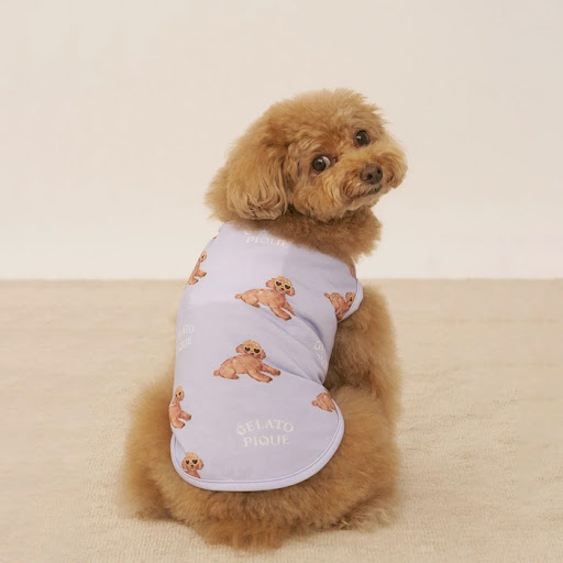 gelato pique 【接触冷感】サマートイプードル柄プルオーバー Pets
