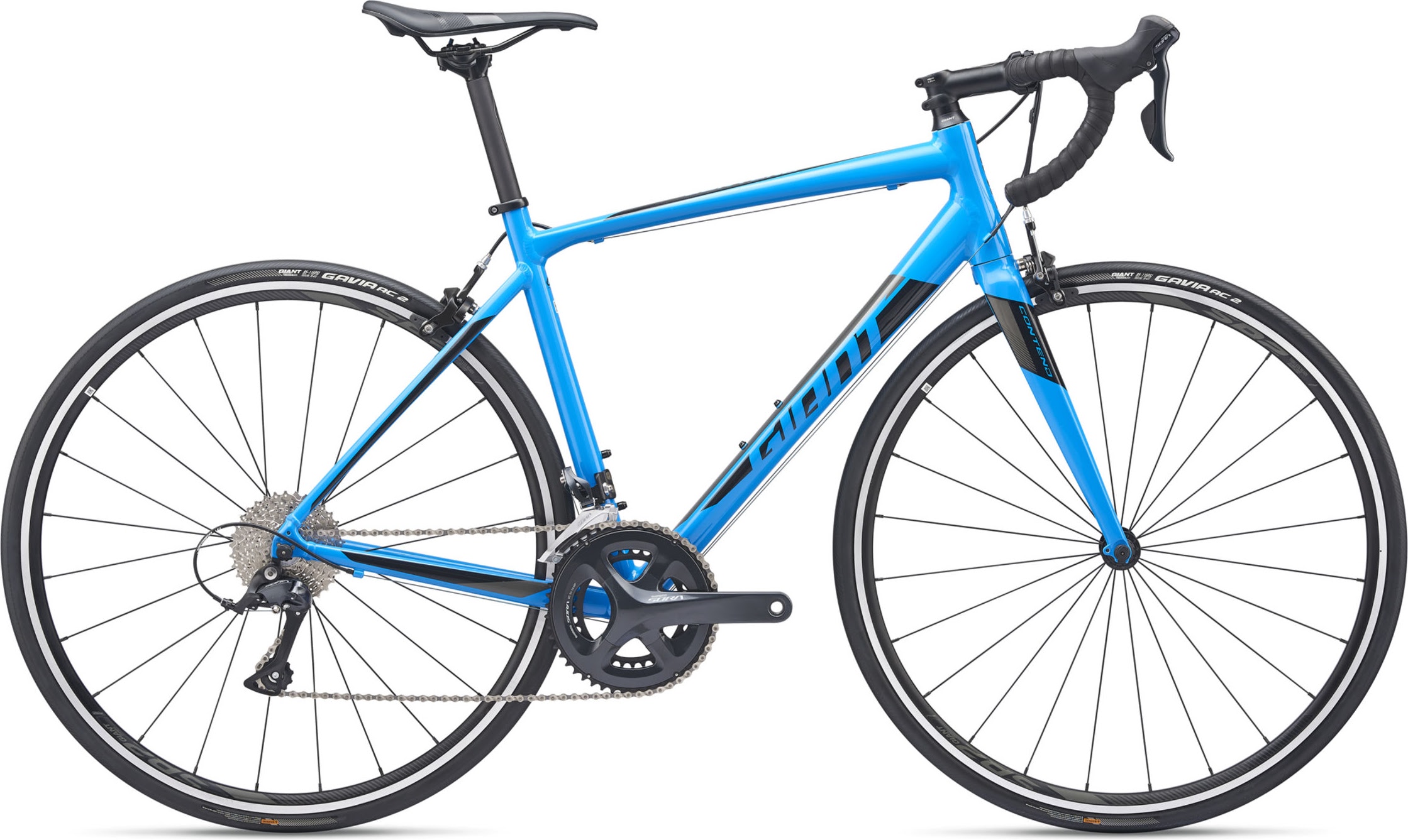 Giant 2019 Contend 1 Road Bike | Tree Fort Bikes
