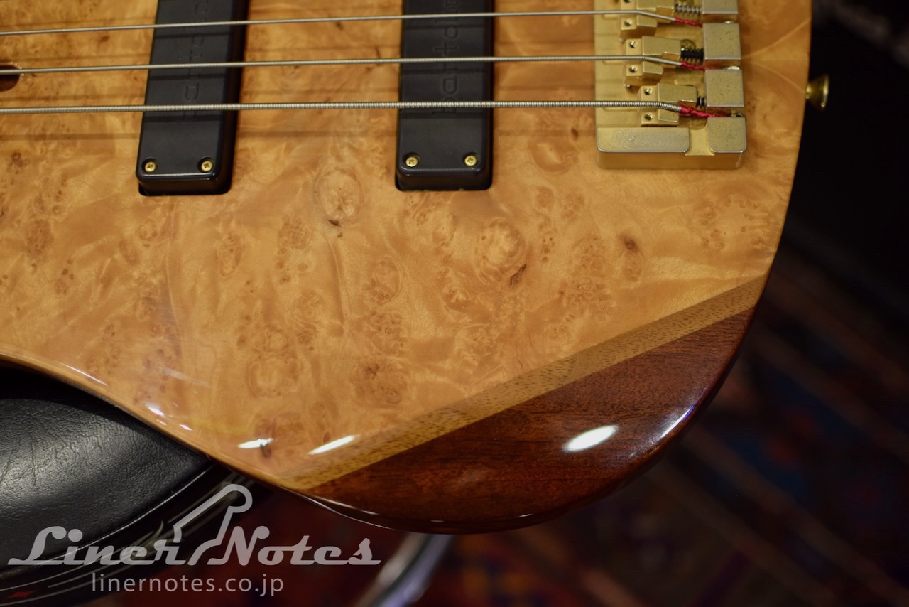 SCHECTER Platinum Wood Series PW-EX-B-BL (Natural) | LINER NOTES