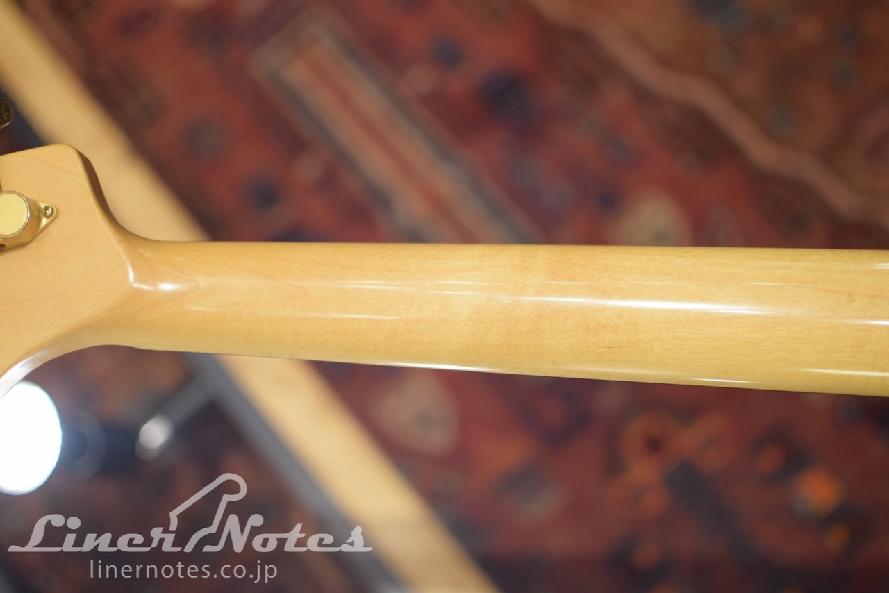 SCHECTER Platinum Wood Series PW-EX-B-BL (Natural) | LINER NOTES