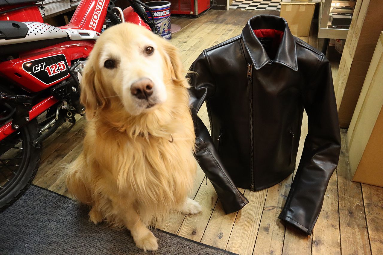 KADOYA History別注イタリアンレザー（ステアハイド）TWR-2H予約受付