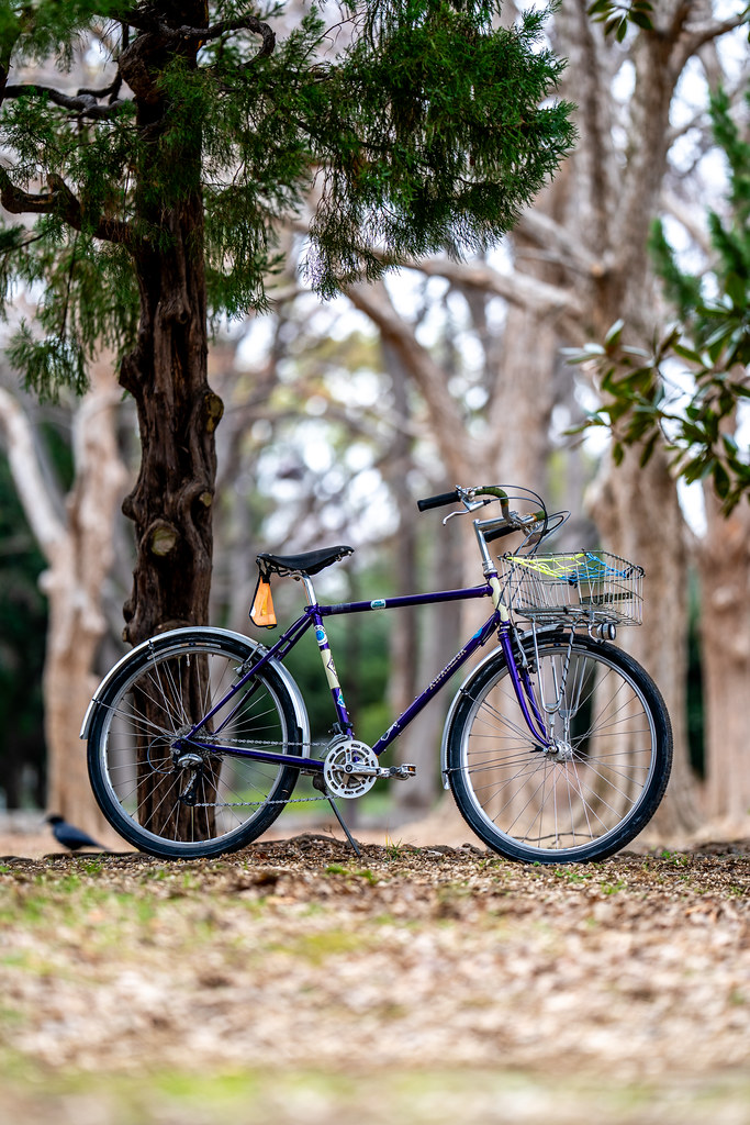 RIVENDELL* joe appaloosa / BUILT BY BLUE LUG - CUSTOMER'S BIKE