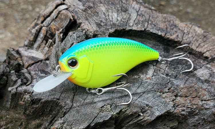 エバーグリーン「フラットフォース」使用インプレッション。 – LureNote