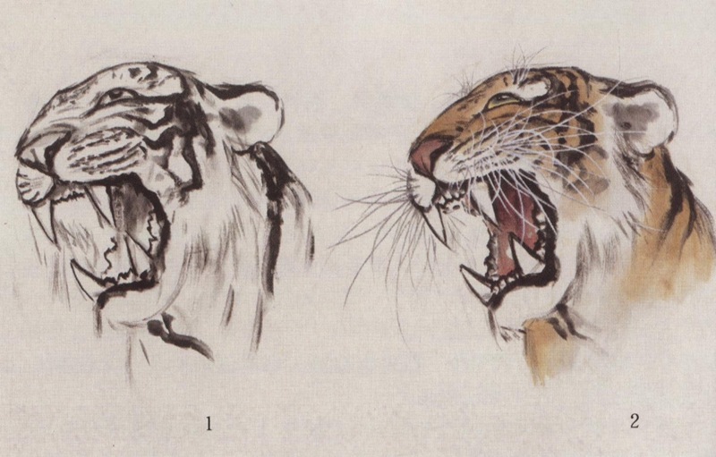 とら 虎 水墨画の描き方 名家から学ぶ 国画大課堂 中国絵画/老虎 名