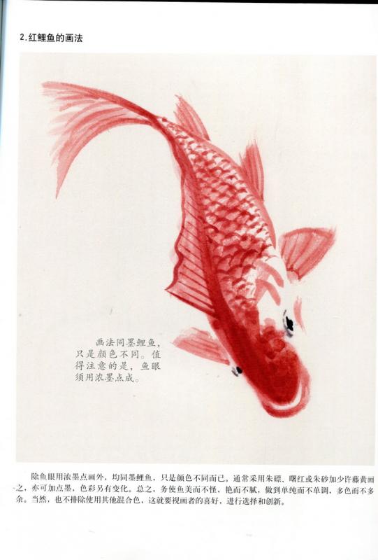 鯉 ナマズ 金魚 写意描き方 美術基礎教学系列叢書 中国絵画/写意