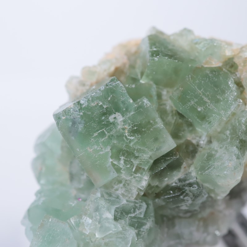 El Hammam鉱山 フローライト | 鉱物標本,ハ行,フローライト/蛍石