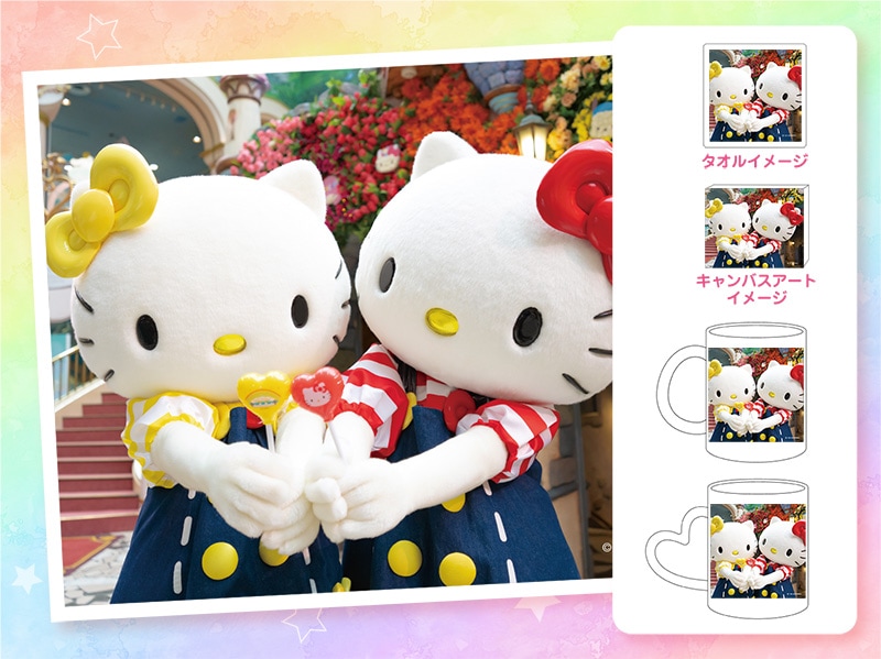 レア‼️ 美しいキャンディーカラーキティ フォトフレーム ミニバラ