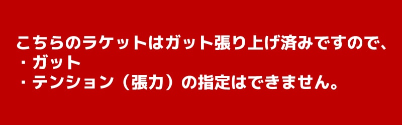 ソフトテニス初心者セット
