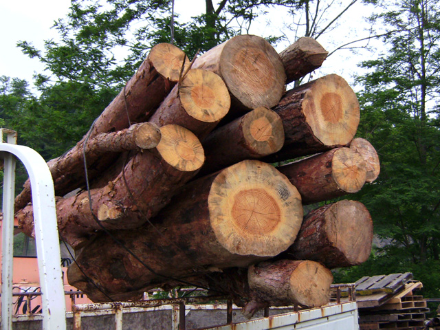 薪の松尾｜薪ストーブ用・陶芸用の薪の通販｜長野の山林で育った雑木