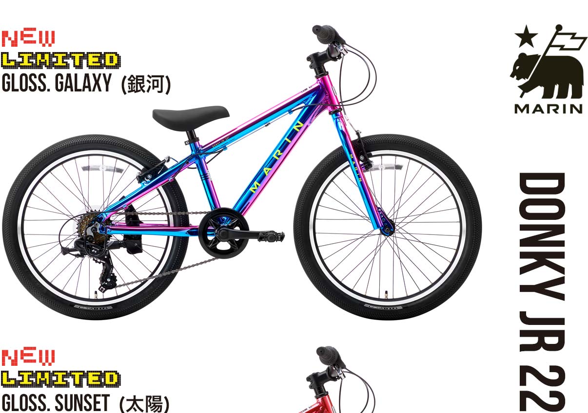 DONKY JR22 6S LIMITED COLOR – MARIN JAPAN