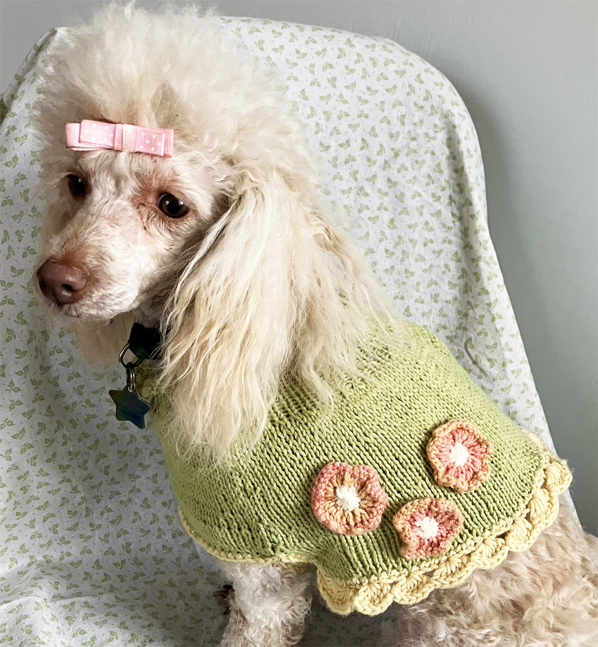 fiimglynnieshawl.jpg?w=864