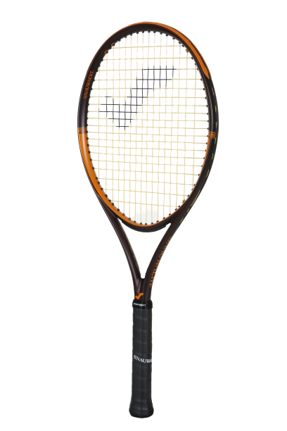 グラフィン360+ スピードS