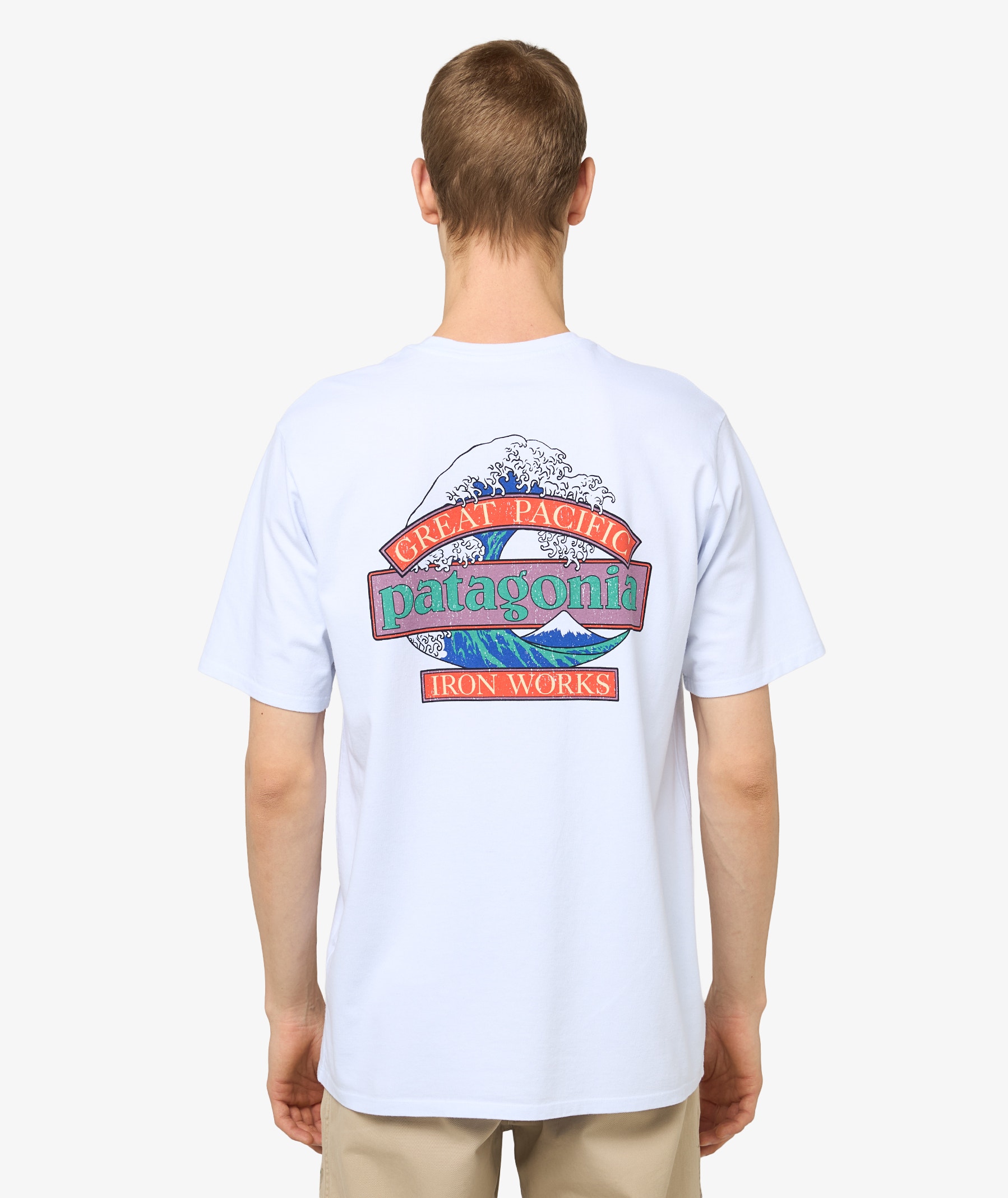 Patagonia Great Waves Responsibili-T T-Shirt | Male | SVD USA