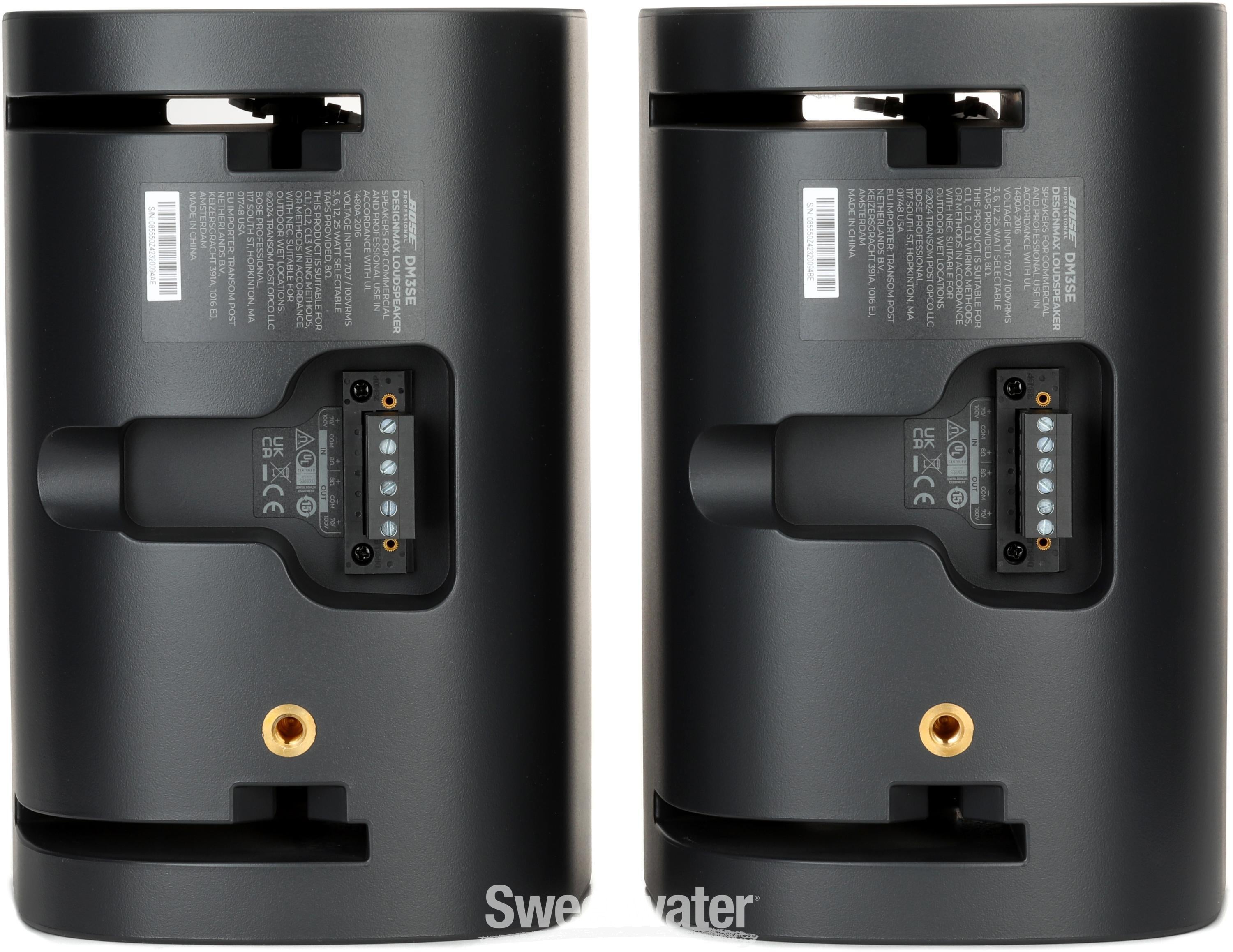 Bose Professional DesignMax DM3SE - Black | Sweetwater