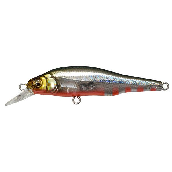 000000001318-01-m.jpg?t=