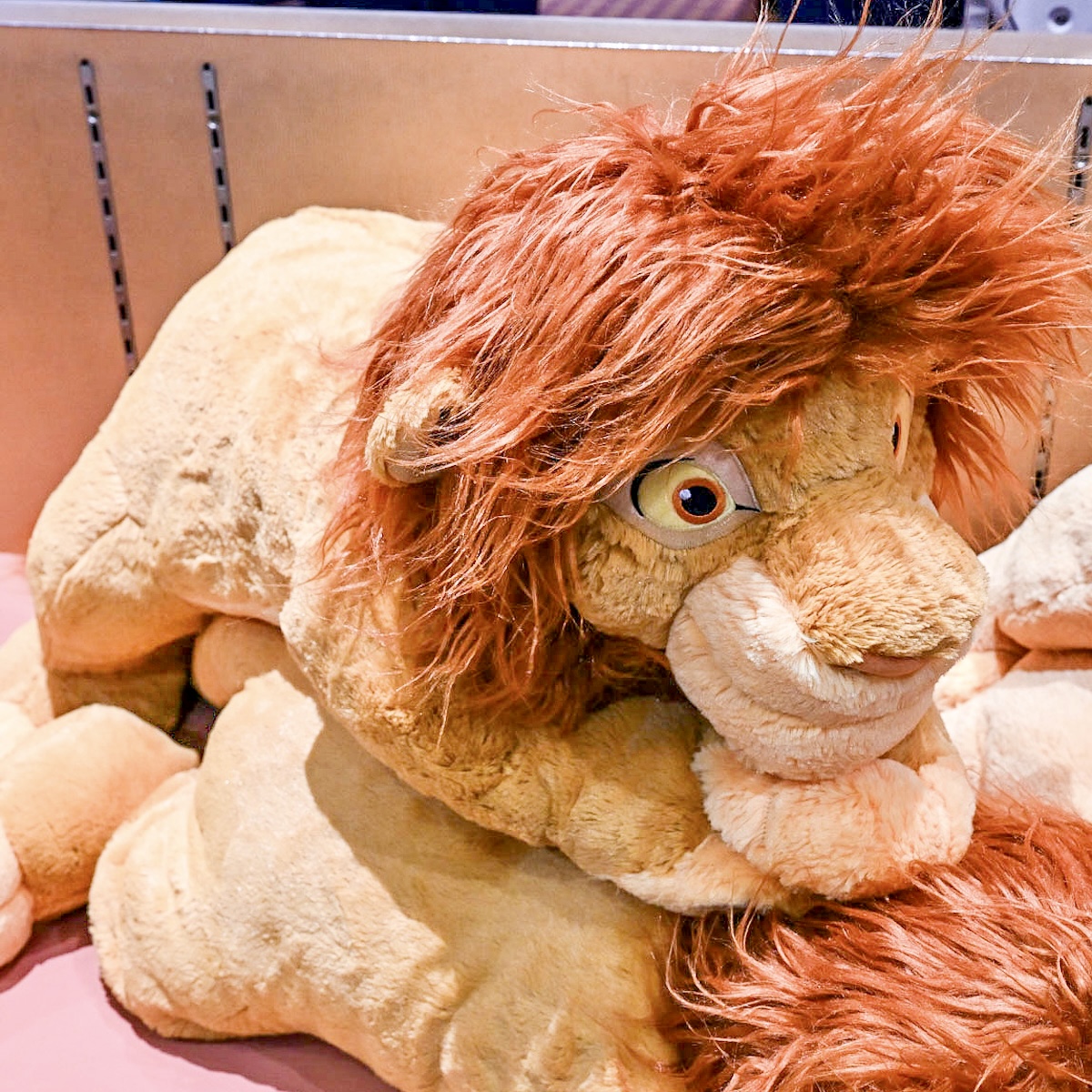 大人になったシンバ！東京ディズニーランド『ライオン・キング』だき