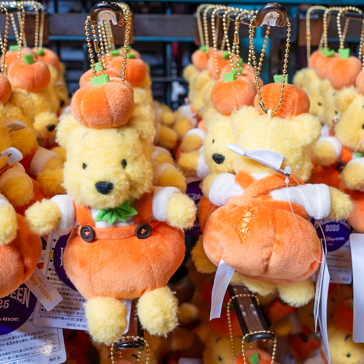 パンプキンコスチュームを着たプーさん！東京ディズニーリゾート