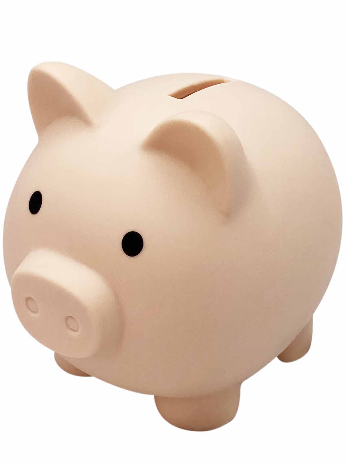 Amazon.co.jp: 貯金箱 かわいい 豚 500円玉 子供 ブタさん 割れない