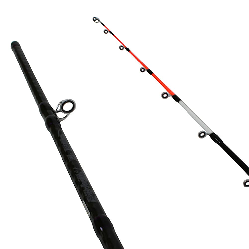 Amazon | SOLFIESTA(ソルフェスタ) タチウオテンヤロッド 龍撃太刀魚