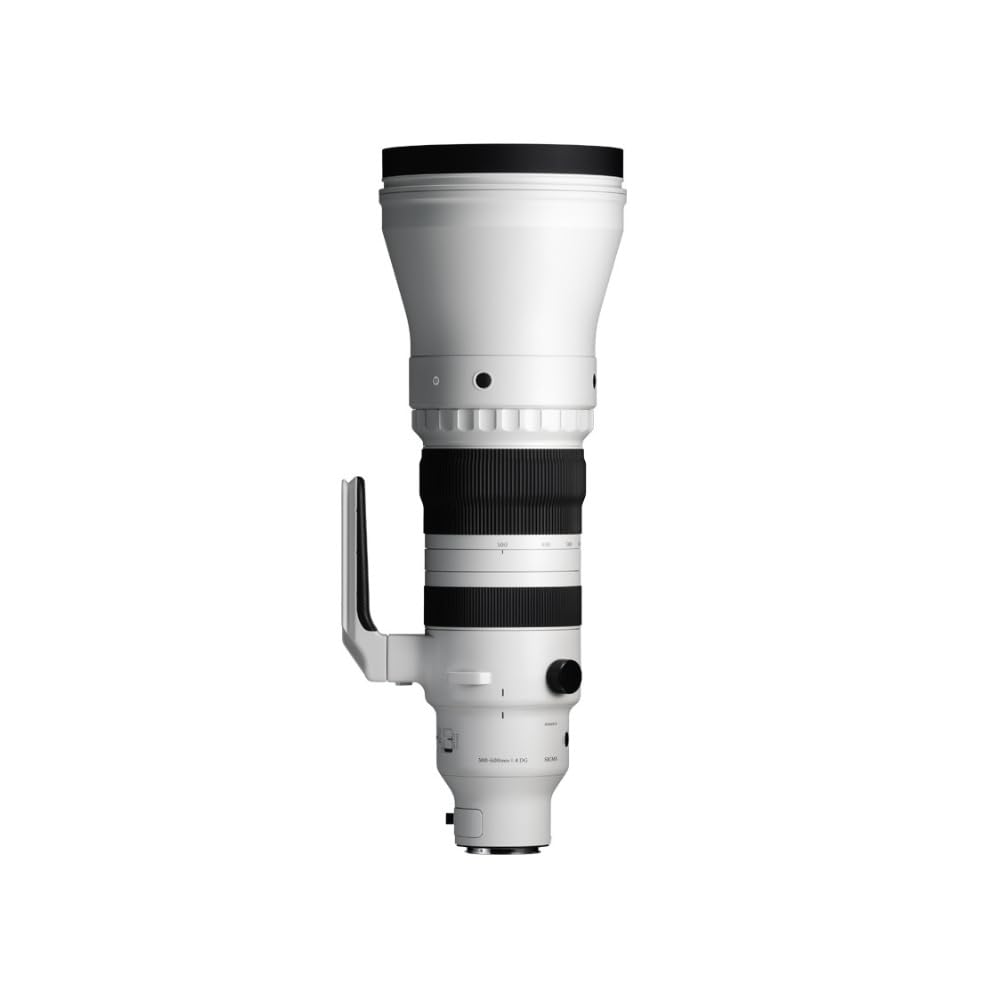 Amazon.com : Sigma 300-600mm F4 DG OS | Sports for L Mount