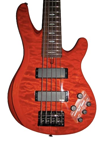 Amazon | ヤマハ YAMAHA エレキベース 5弦 TRB1005J CMB | エレキ