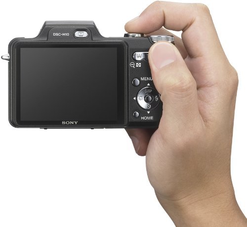 Amazon.com : Sony Cybershot DSC-H10 8.1MP Digital Camera with 10x