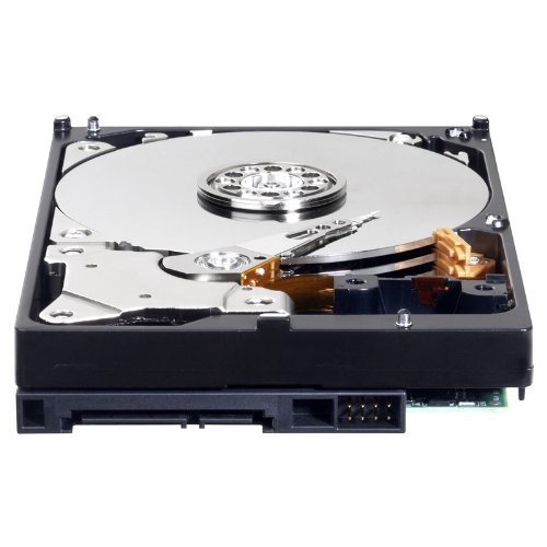 Amazon.com: Seagate Enterprise Capacity 3.5 HDD 6TB 7200RPM 12Gb/s
