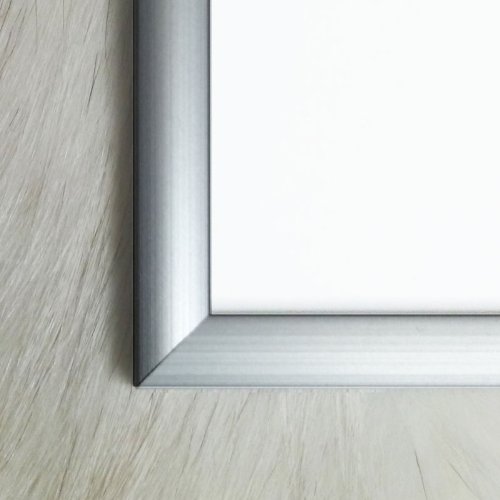 Amazon.co.jp: ポスター リュック シュケ Plante France 1989年 額装品