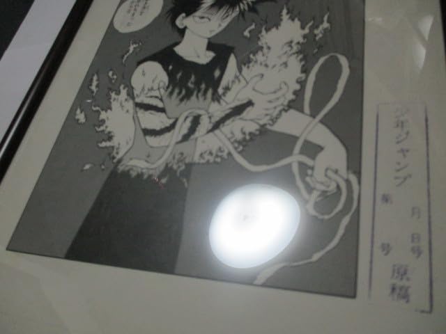 Amazon.co.jp: 原作版 幽遊白書 B4サイズ複製原画 飛影 額縁付き 少年