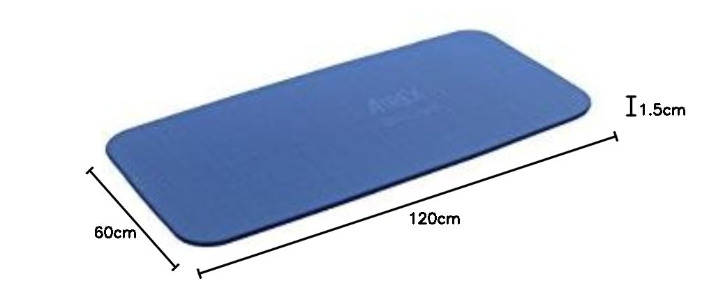 Amazon | AIREX(エアレックス) トレーニングマット フィットネス120 厚