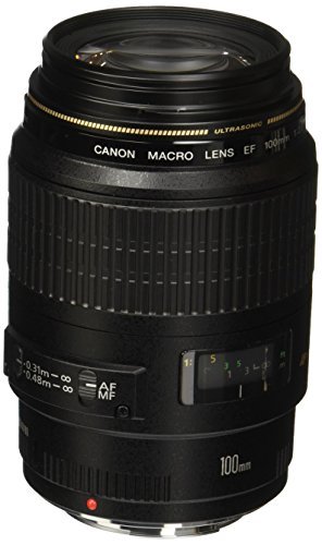 Amazon.com : Canon 100mm F2.8 Macro USM AF Lens : Camera Lenses