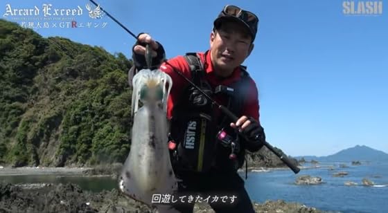 Amazon | スラッシュ アーカードフレックス AF-802GTR | スラッシュ