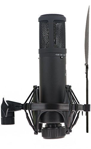Amazon.co.jp: sE Electronics sE2200aII コンデンサーマイク【国内