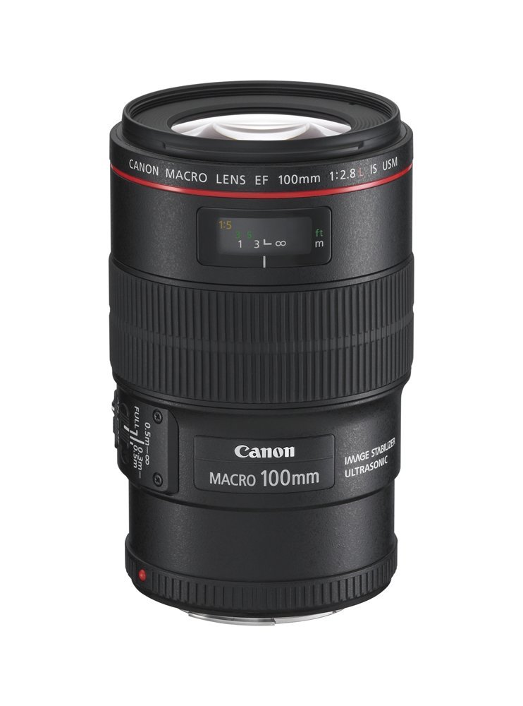 Amazon.com : Canon EF 100mm f/2.8L is USM Macro Lens for Canon