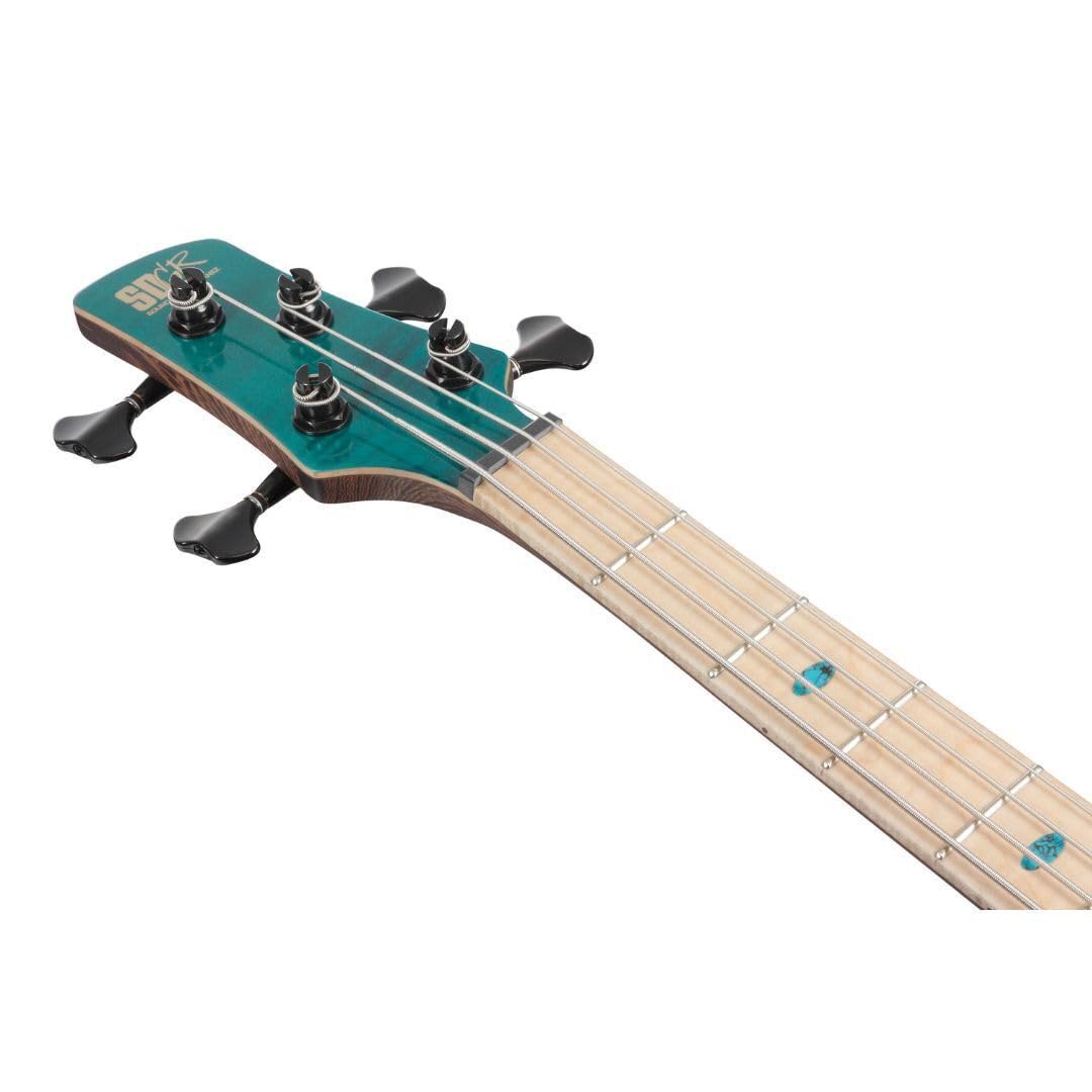 Amazon.com: Ibanez SR Premium 4-string Electric Bass Guitar