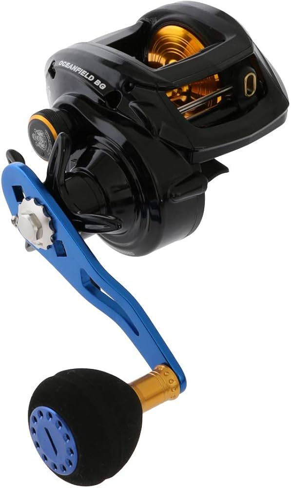Amazon.co.jp: AbuGarcia (アブガルシア) OCEANFIELD BG 右巻き パワー