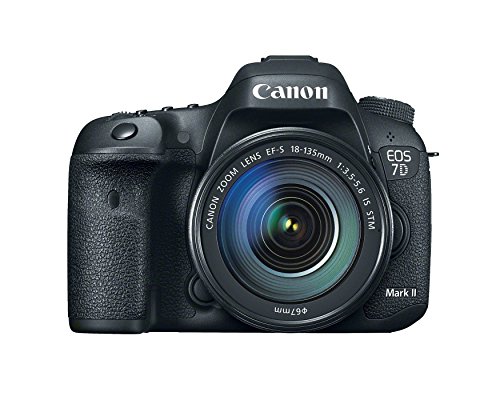 Amazon.com: Canon EOS 7D Mark II Digital SLR Camera (Body Only